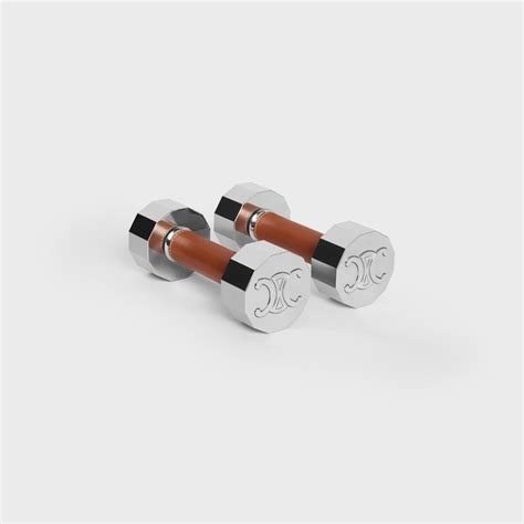 celine dumbbell|DUMBBELLS 2KG IN STEEL AND CALFSKIN .